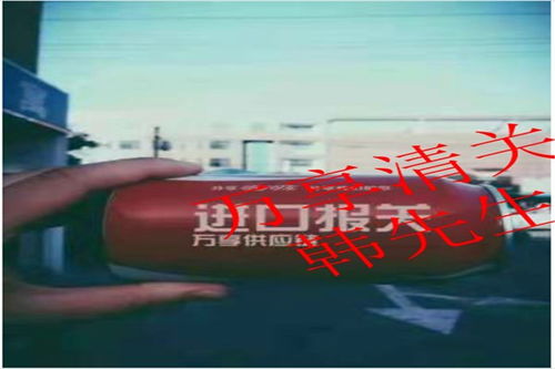 專業(yè)代理丹麥寵物食品進(jìn)口 大連公司提供清關(guān)門到門服務(wù)